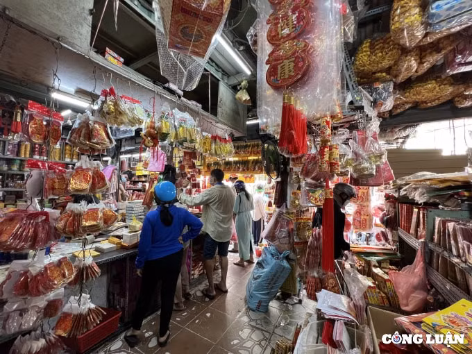 cho coi am lon nhat tp hcm buon ban tap nap truoc ngay ong cong ong tao hinh 11
