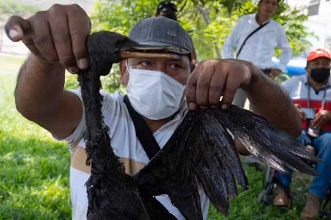 peru doi boi thuong vi su co tran dau tham khoc do nui lua tonga gay ra hinh 2