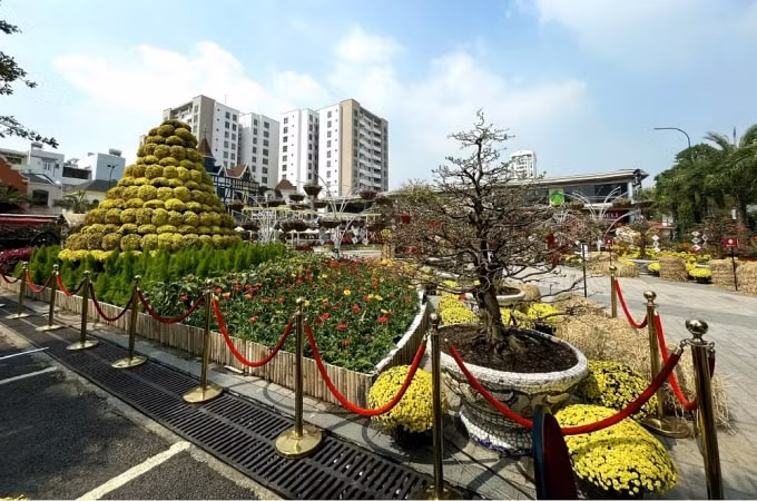 tp hcm san sang chu dong de don mot cai tet tri an hinh 2