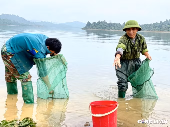 muu sinh noi hon ngoc cua xu thanh hinh 1