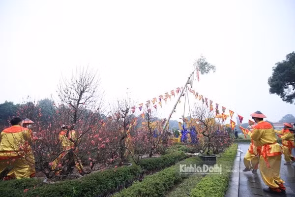 tai dung nghi le tet viet o hoang thanh thang long hinh 2
