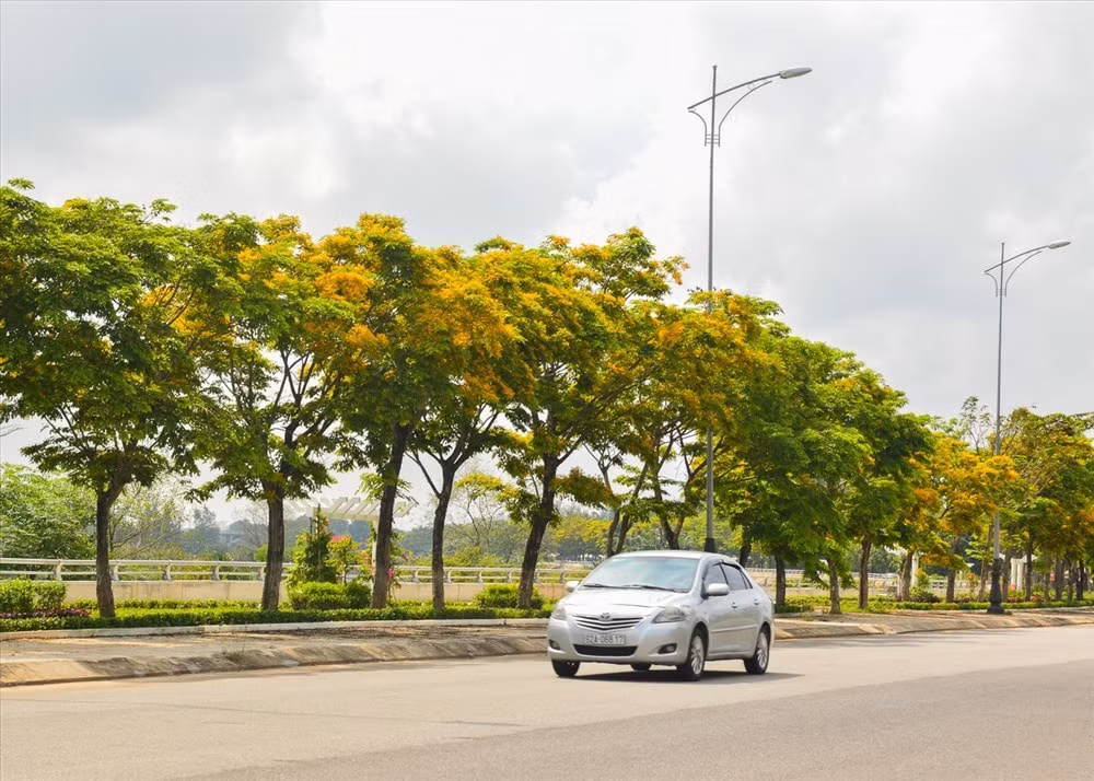 quang nam sap dien ra le hoi hoa sua tai tp tam ky hinh 2