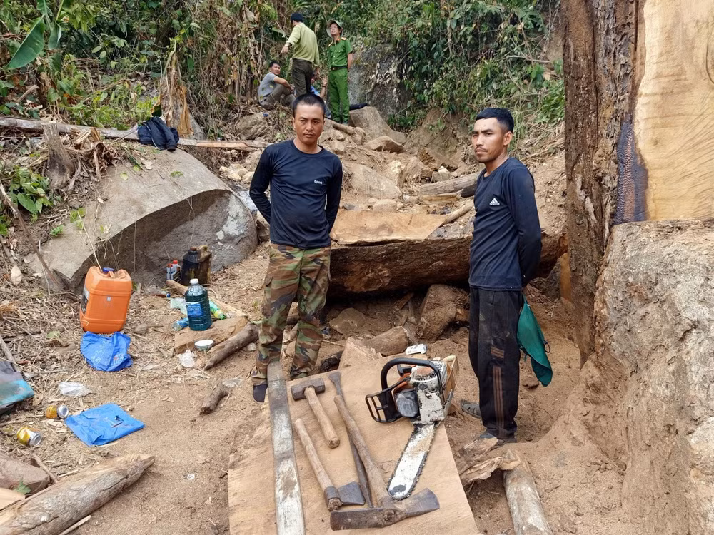 kon tum bat qua tang hai doi tuong vao rung san xuat cat go dem ban hinh 2