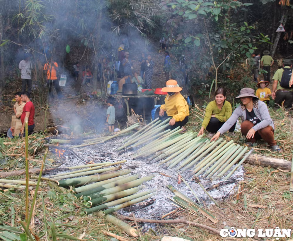 doc dao le cung rung voi loi the bao ve rung cua nguoi jrai hinh 1