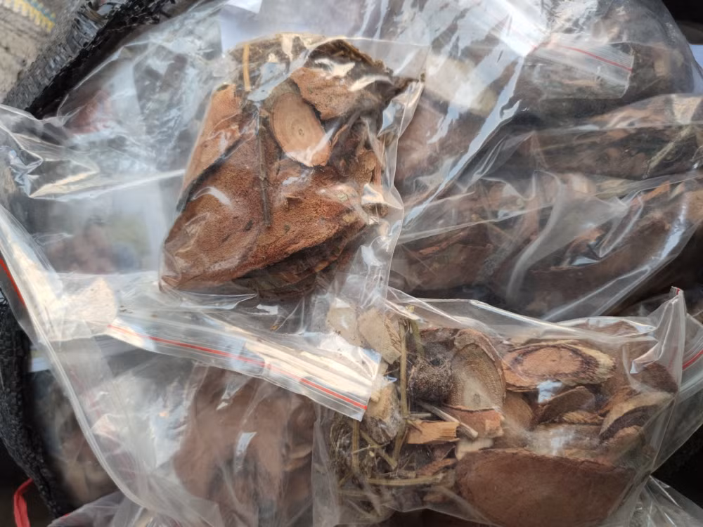 lao cai phat hien 12 tan duoc lieu bo mau khong ro nguon goc hinh 2