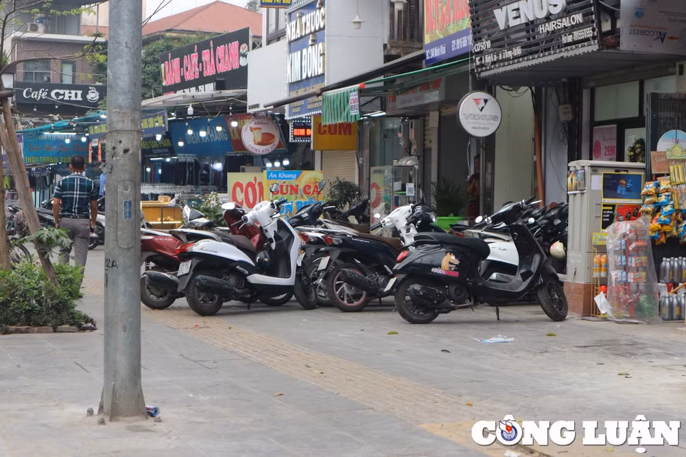 ha noi nhieu cot dien cay xanh nam chem che tren phan duong cua nguoi khiem thi hinh 6