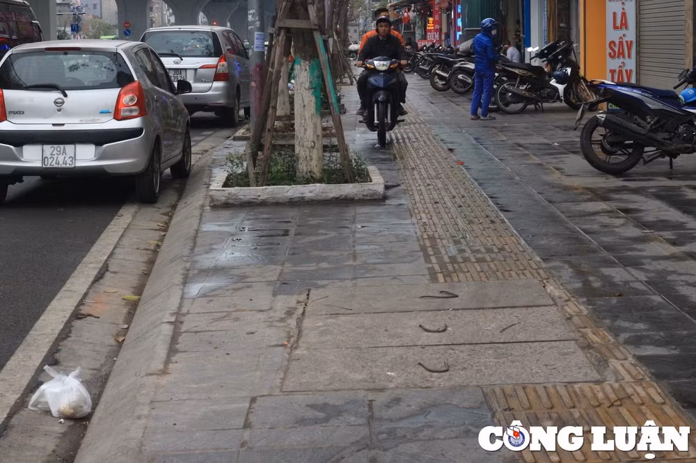 ha noi nhieu cot dien cay xanh nam chem che tren phan duong cua nguoi khiem thi hinh 4