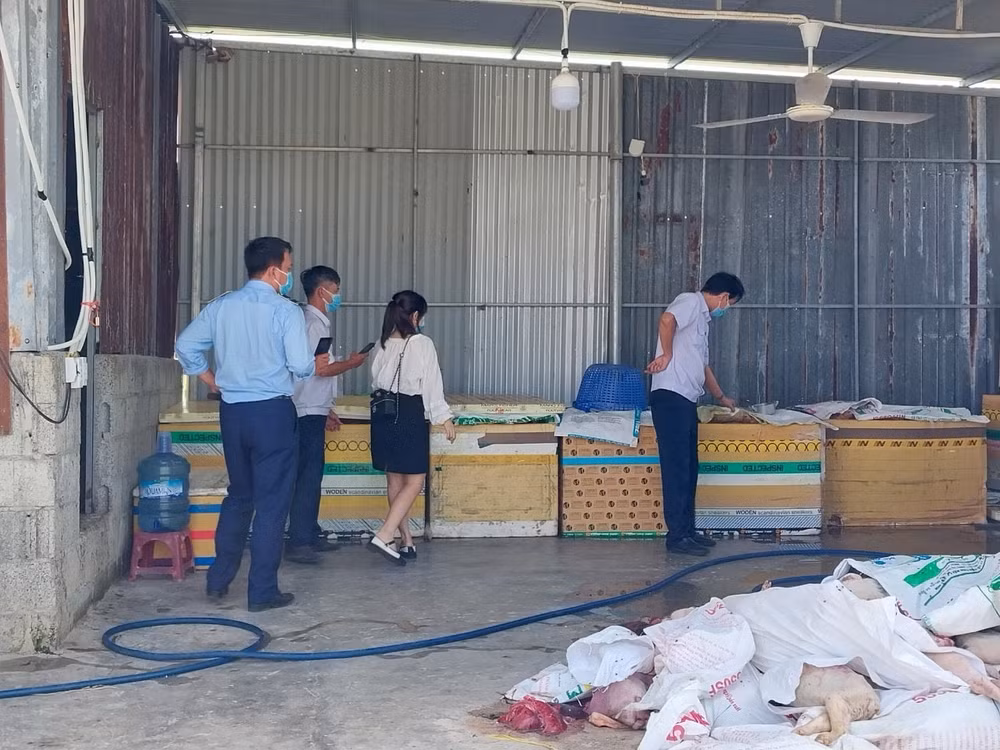 khanh hoa phat hien 5 tan thit noi tang lon hoi thoi chuan bi nam tien hinh 1