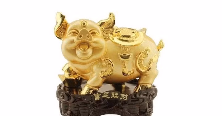 tuong lon hop xung voi gia chu tuoi nao hinh 2