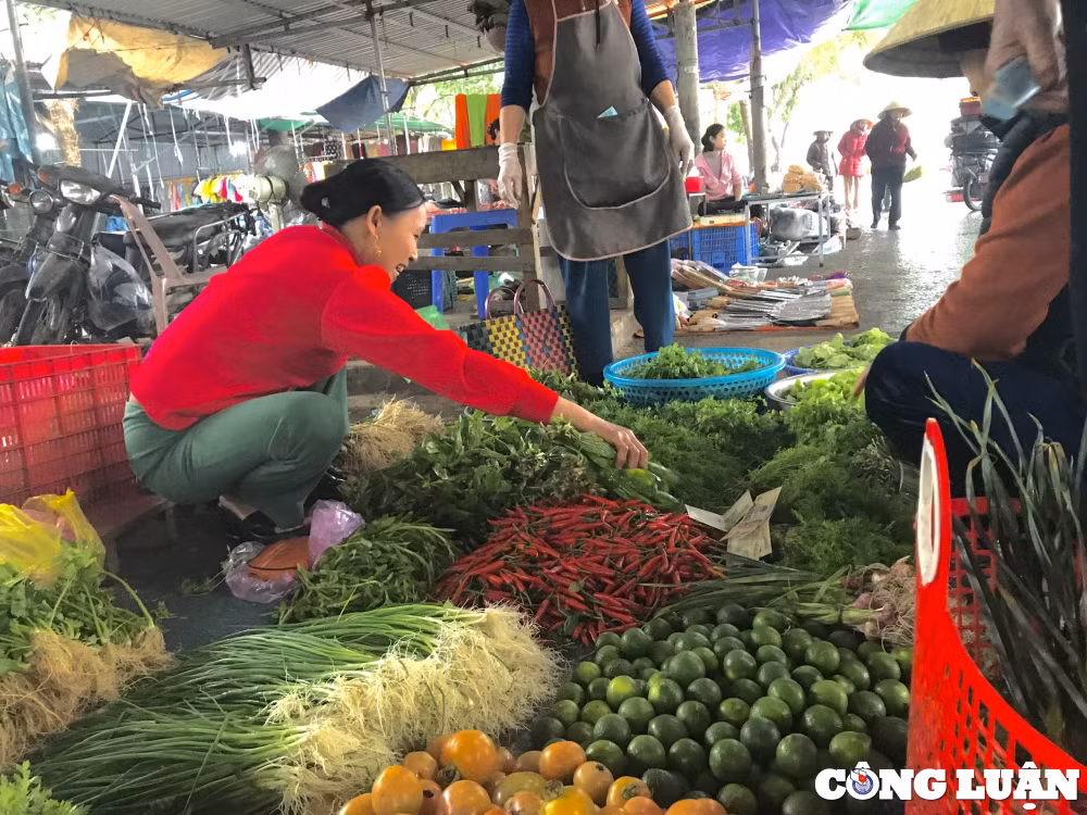 ha noi nguon cung doi dao gia rau xanh va thuc pham tuoi song giam dong loat hinh 1