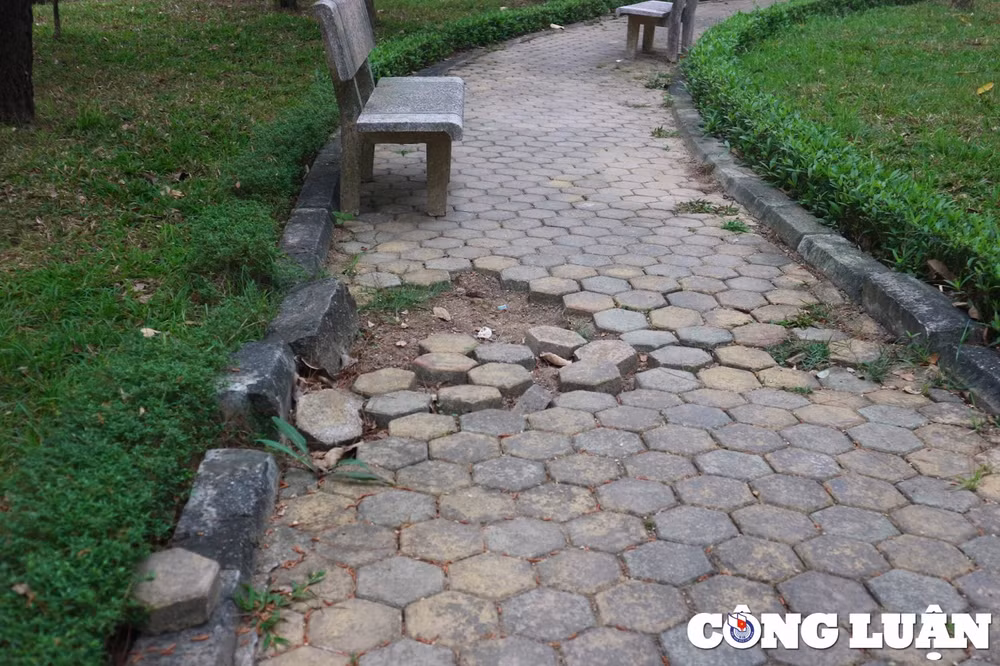 ha noi cong vien cau giay xuong cap bi chiem dung lam bai do xe hinh 10