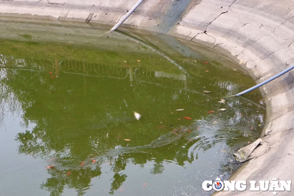 ha noi cong vien cau giay xuong cap bi chiem dung lam bai do xe hinh 8