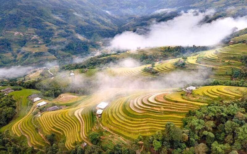 hoa binh tap trung cho du lich phat trien hinh 2