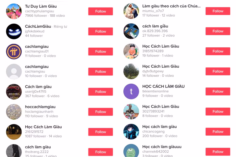 cac chuyen gia tai chinh rom bien tiktok thanh lop hoc day cach lam giau hinh 1