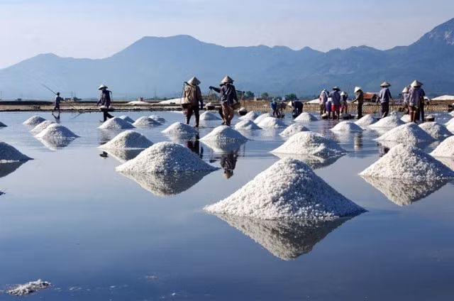 Dựa vào các gộp đá trên bờ, người ta đắp thành những ô ruộng muối rộng đến hàng chục ha mỗi ô.&nbsp;
