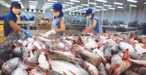 Việt Nam xuất khẩu 4,8 tỷ USD hàng hóa vào EU nhờ EVFTA . Ảnh minh họa