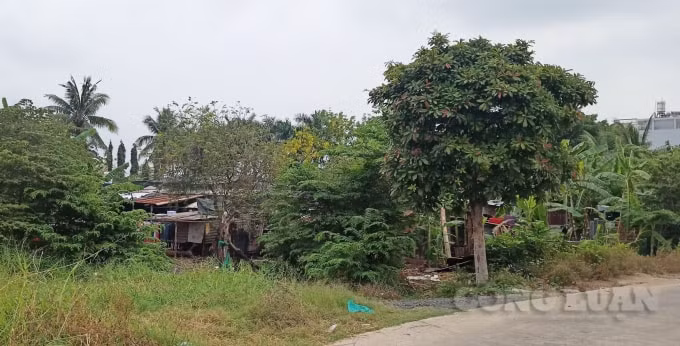 Nhiều phần mộ và nhà dân vẫn còn nằm bên trong dự án, vẫn chưa được giải tỏa hết