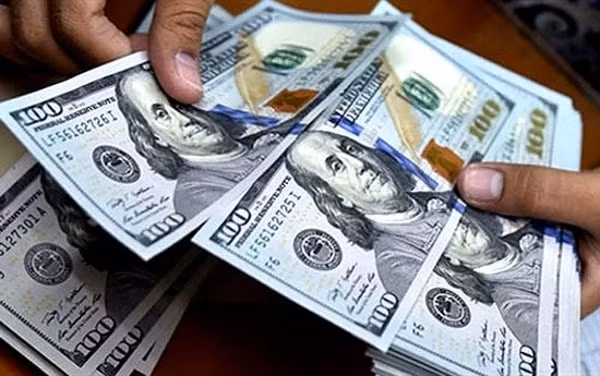 Trong tuần, đồng USD đã để mất 0,8% giá trị