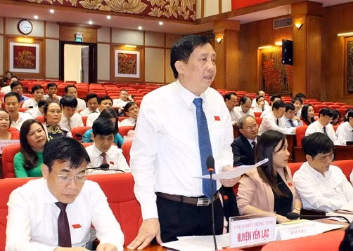 Đại biểu tham gia thảo luận tại hội trường.