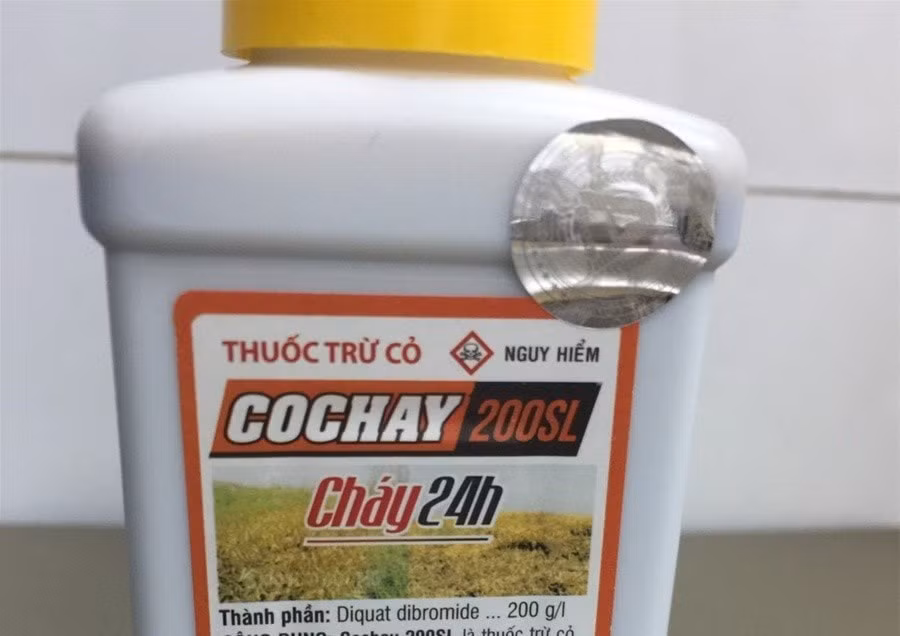Cô gái 22 tuổi ở Quảng Ninh tự tử bằng thuốc diệt cỏ. Ảnh: Zingnews.vn