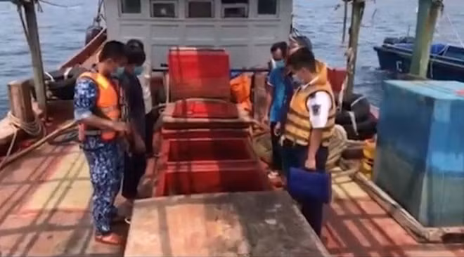 Dầu chứa trong các khoang vốn để chứa cá.