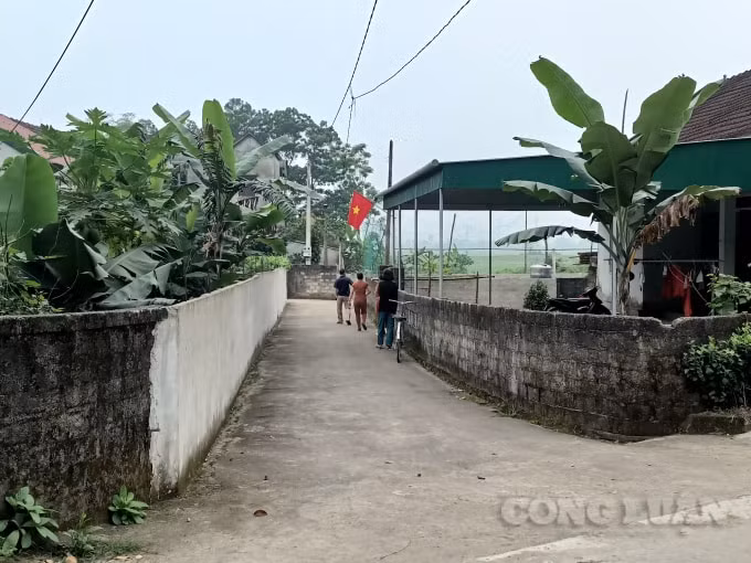 Thửa đất đã được cấp sổ đỏ nhưng bỗng nhiên mất lối trở thành con đường cụt