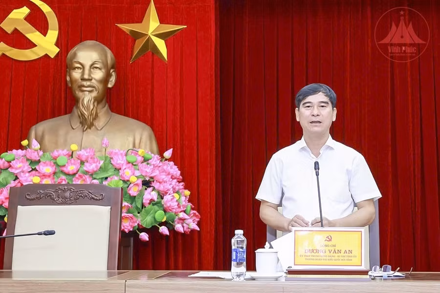 vinh phuc chuan bi cho dai hoi dang bo cac cap nhiem ky 2025 2030 hinh 1