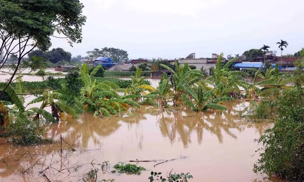 nam dinh trien khai cac bien phap ung pho voi vung ap thap va mua lon hinh 1