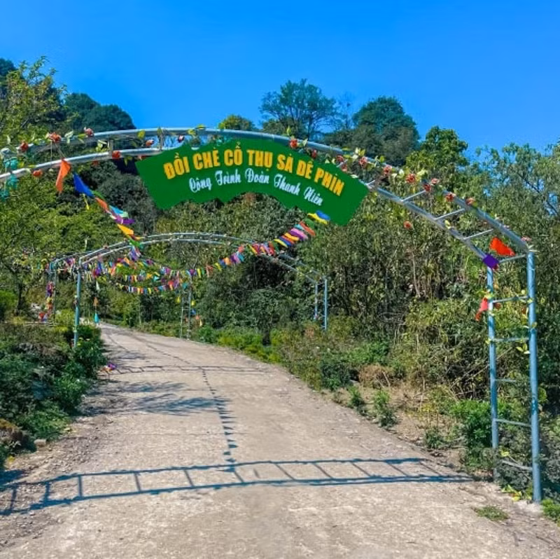 trai nghiem dem sa de phin tren cao nguyen sin ho hinh 2