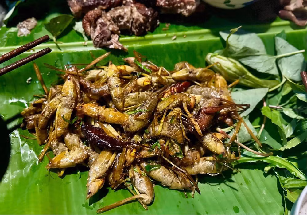 dac san dan da muom muom hiem co kho mua gia gan 1 trieu dong kg hinh 3