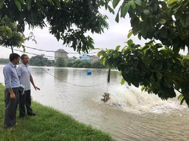 von quy khuyen nong tp ha noi huong den cho vay san xuat theo chuoi gia tri hinh 1