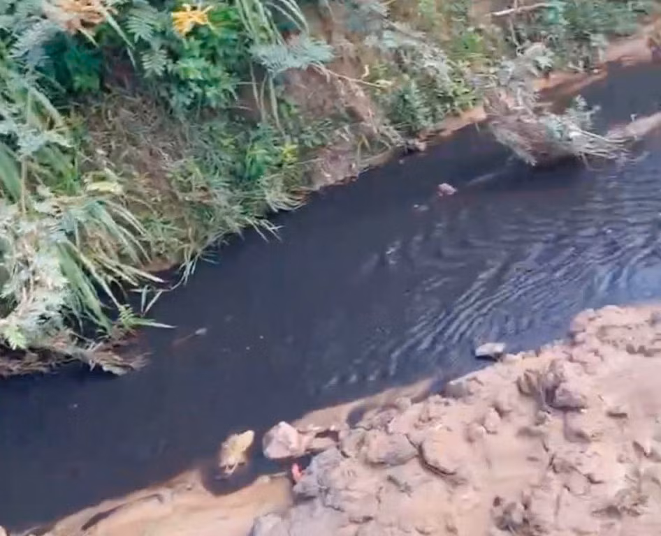 kon tum doanh nghiep nuoi heo ngang nhien lap ong nhua de xa nuoc thai ra suoi hinh 2