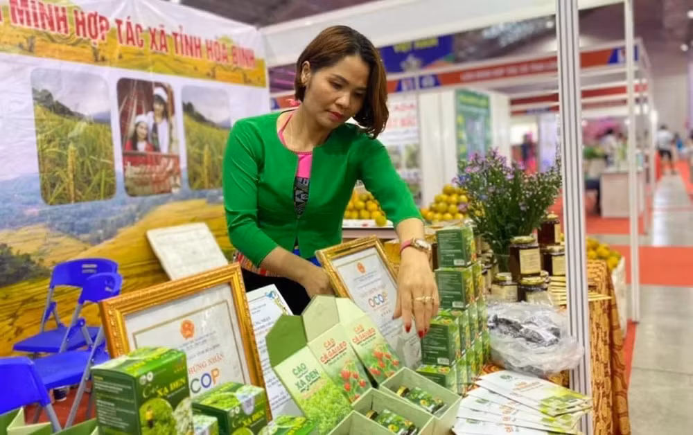 hoa binh de xuat dieu chinh cac chinh sach tai chinh thue nham phat trien hang viet hinh 3