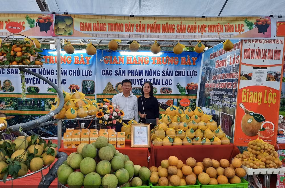 hoa binh de xuat dieu chinh cac chinh sach tai chinh thue nham phat trien hang viet hinh 1