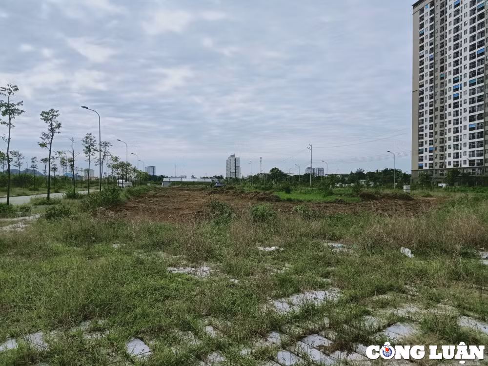 thanh hoa khoi cong du an nghin ty sau nhieu nam bo hoang hinh 1