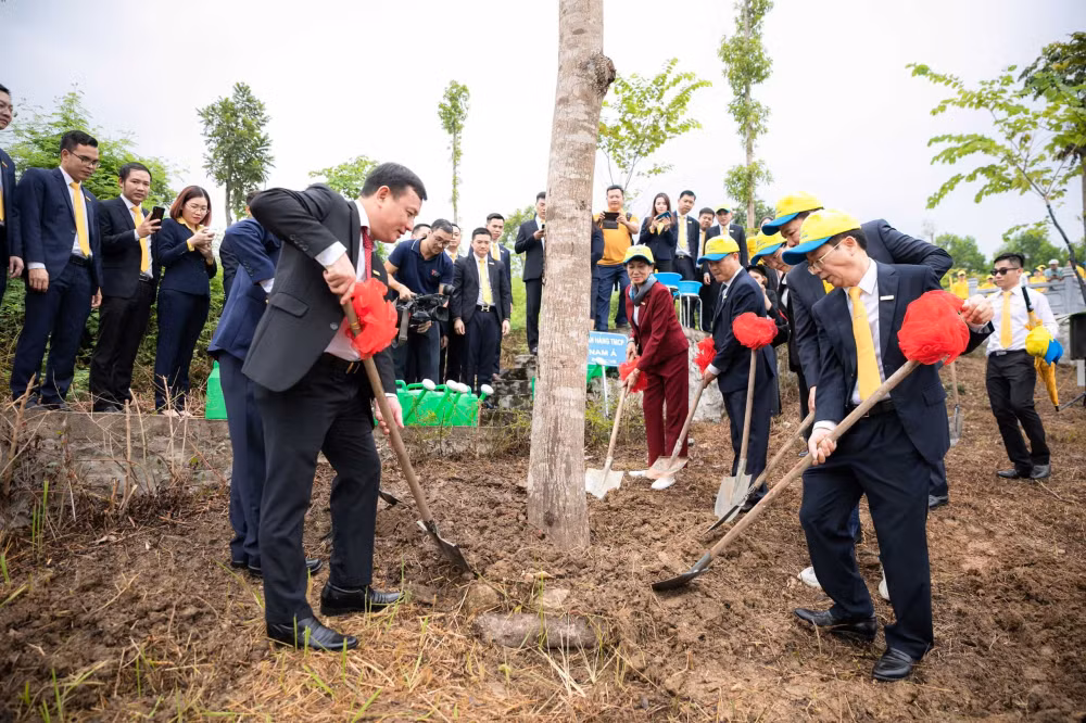nam a bank va hanh trinh ve nguon y nghia hinh 3