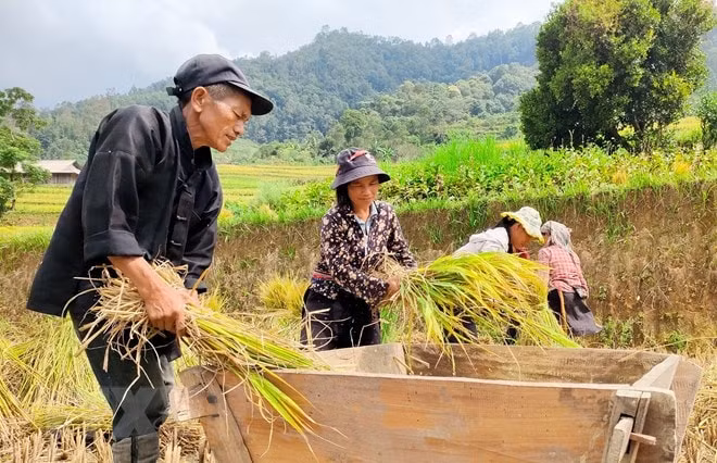 doc dao ban sac van hoa dan toc co lao hinh 1