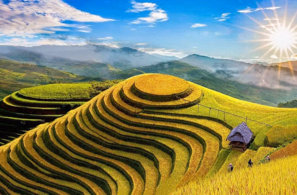 nghe si nhiep anh thanh mien va cau chuyen hinh cong xoay cua nhung thua ruong bac thang hinh 7