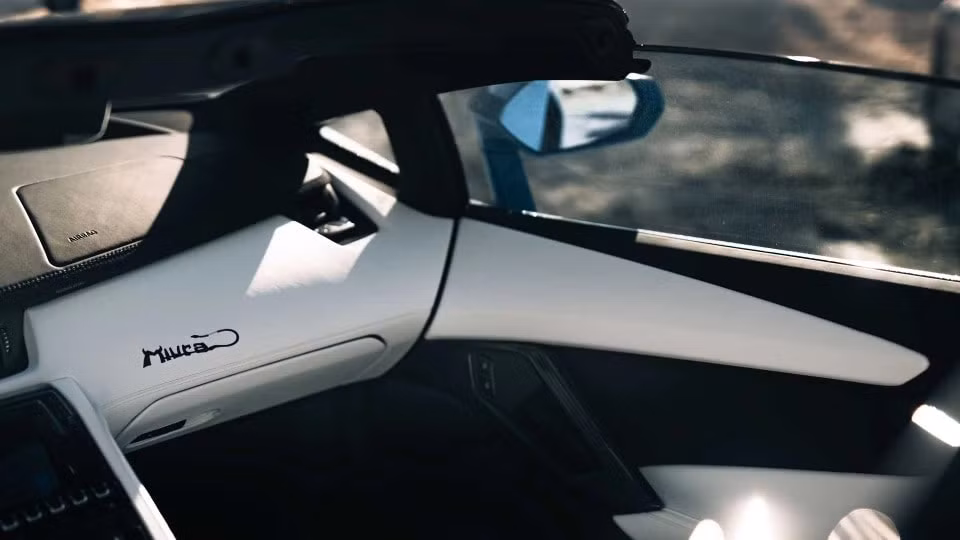 can canh chiec lamborghini aventador cuoi cung hinh 9