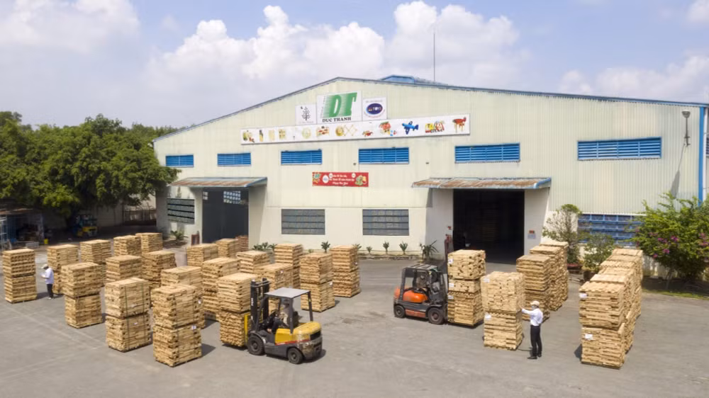 ctcp che bien go duc thanh gdt sap phat hanh hon 193 trieu co phieu de tra co tuc ty le 10 hinh 1