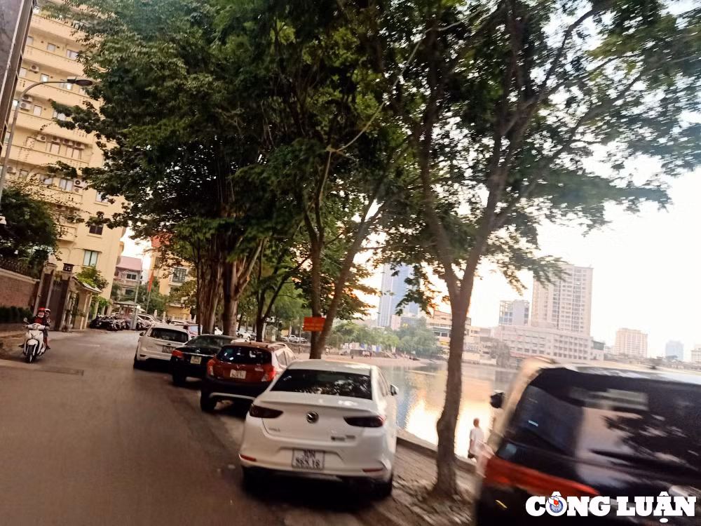 bat nhaonhech nhac quanh cac ho tu nhien ho dieu hoa o thu do hinh 7
