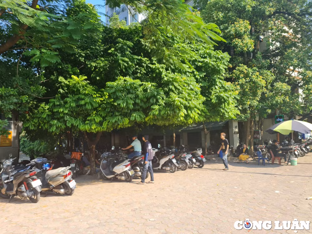 bat nhaonhech nhac quanh cac ho tu nhien ho dieu hoa o thu do hinh 3