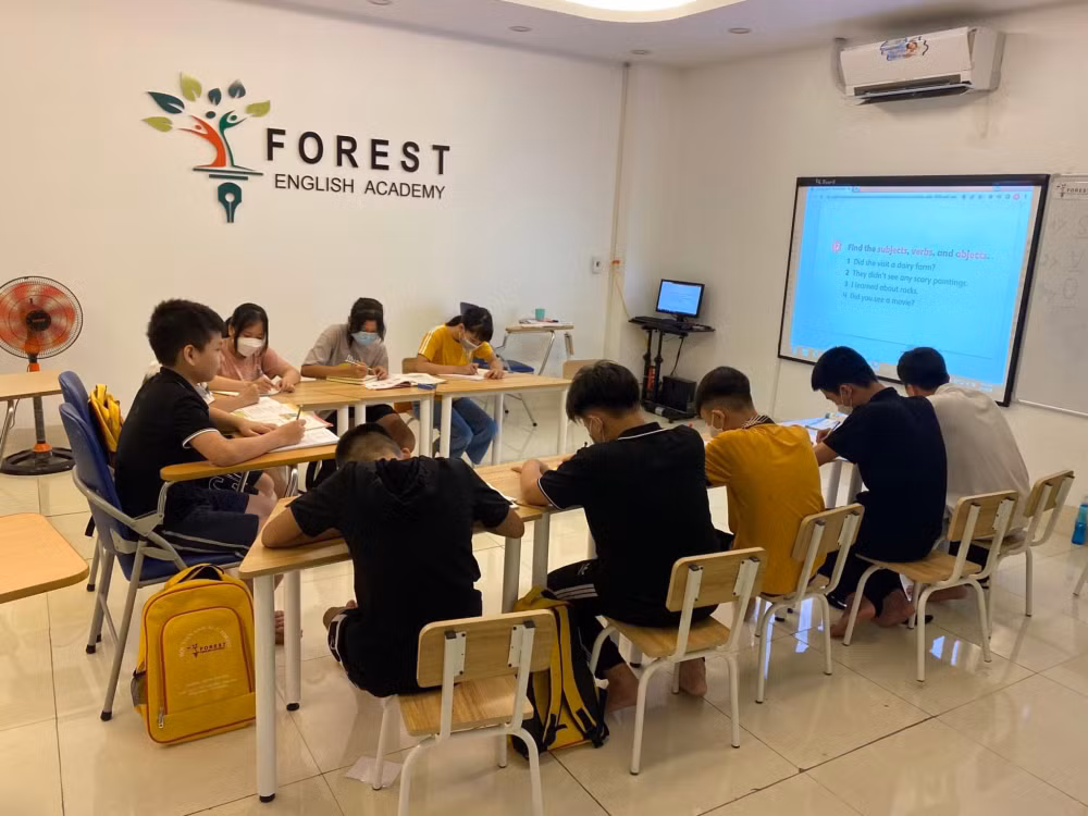 do xo luyen thi ielts de tranh suat vao dai hoc hinh 1