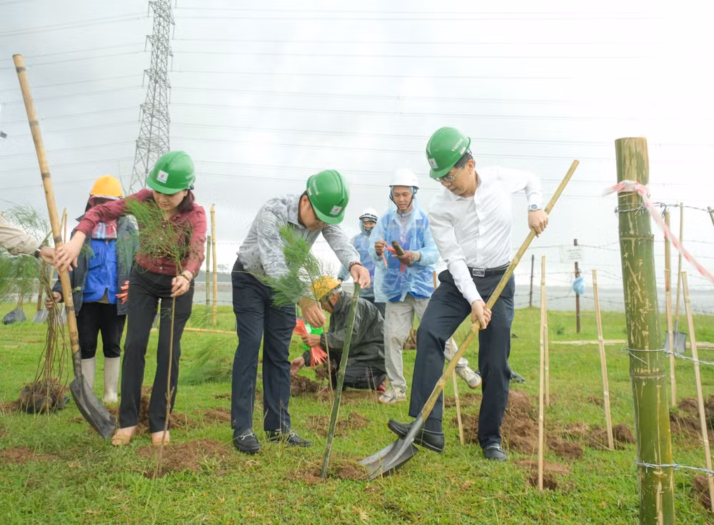 petrovietnam trong cay xanh la giai phap quan trong trong chuyen dich nang luong hinh 5