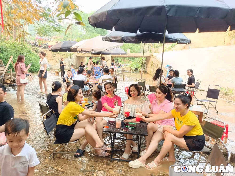 doc dao quan ca phe ben suoi o tuyen quang hinh 9