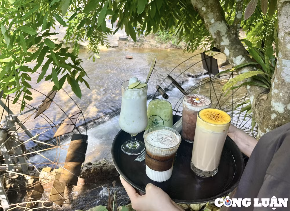 doc dao quan ca phe ben suoi o tuyen quang hinh 8