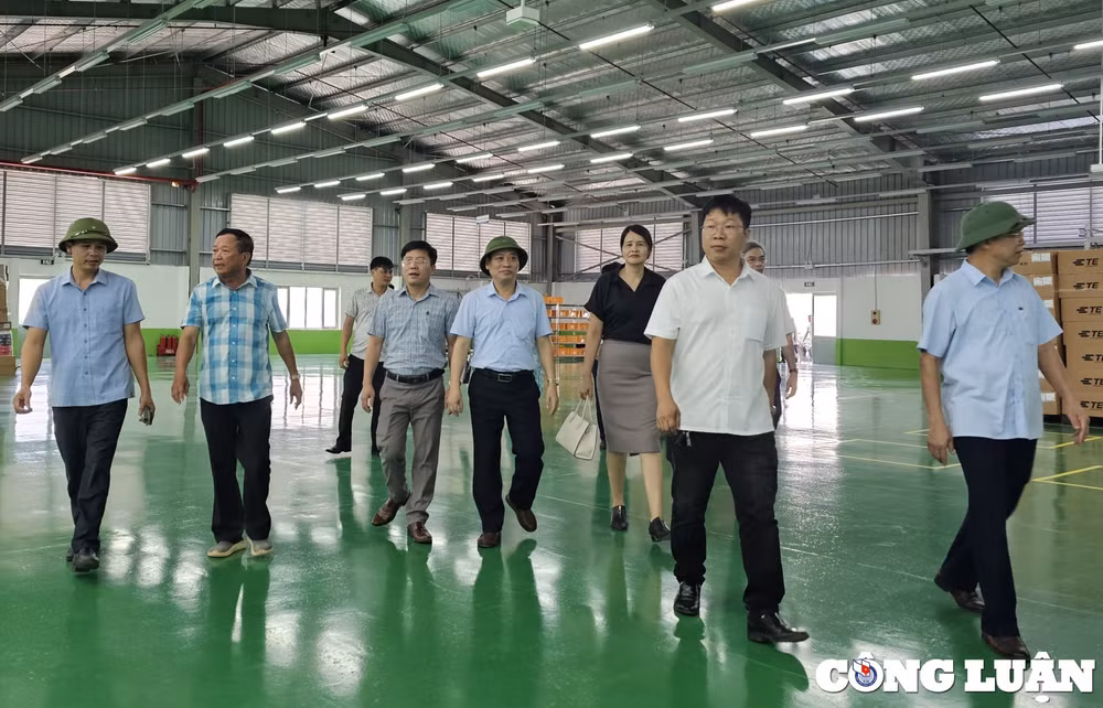 phong vien cac co quan bao chi trung uong thuong tru tai thanh hoa di thuc te tai huyen trieu son hinh 4