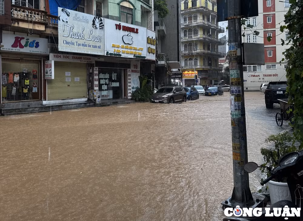 mua lon se keo dai den sang mai o mien bac hinh 1