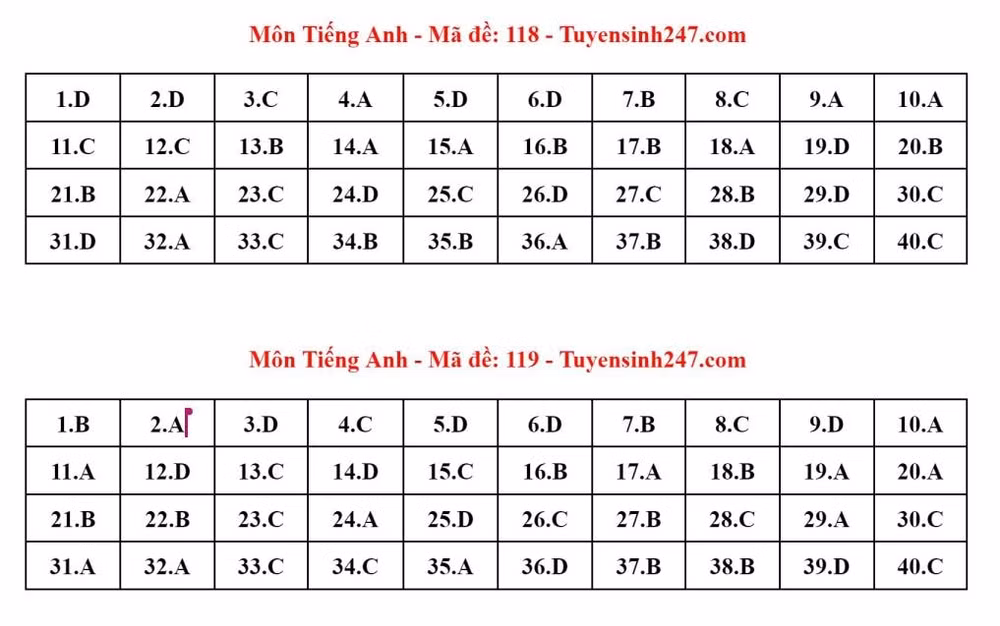 de thi mon tieng anh co tinh phan hoa cao kho de dat diem 10 hinh 4