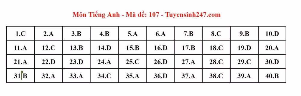 de thi mon tieng anh co tinh phan hoa cao kho de dat diem 10 hinh 2